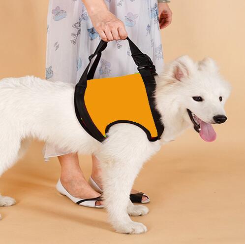 Dog Pet Assist Belt Elderly Dog Hind Leg Assist Belt
