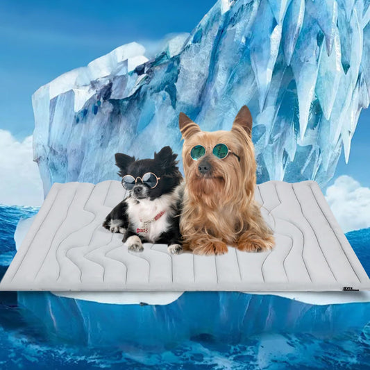 Pet Ice Mat Summer Dog Cat Cool Pad